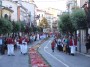infiorata (124)